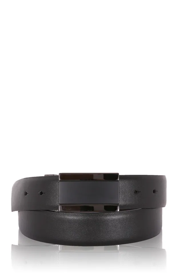 swissgear-plaque-buckle-xlarge-leather-belt image 1