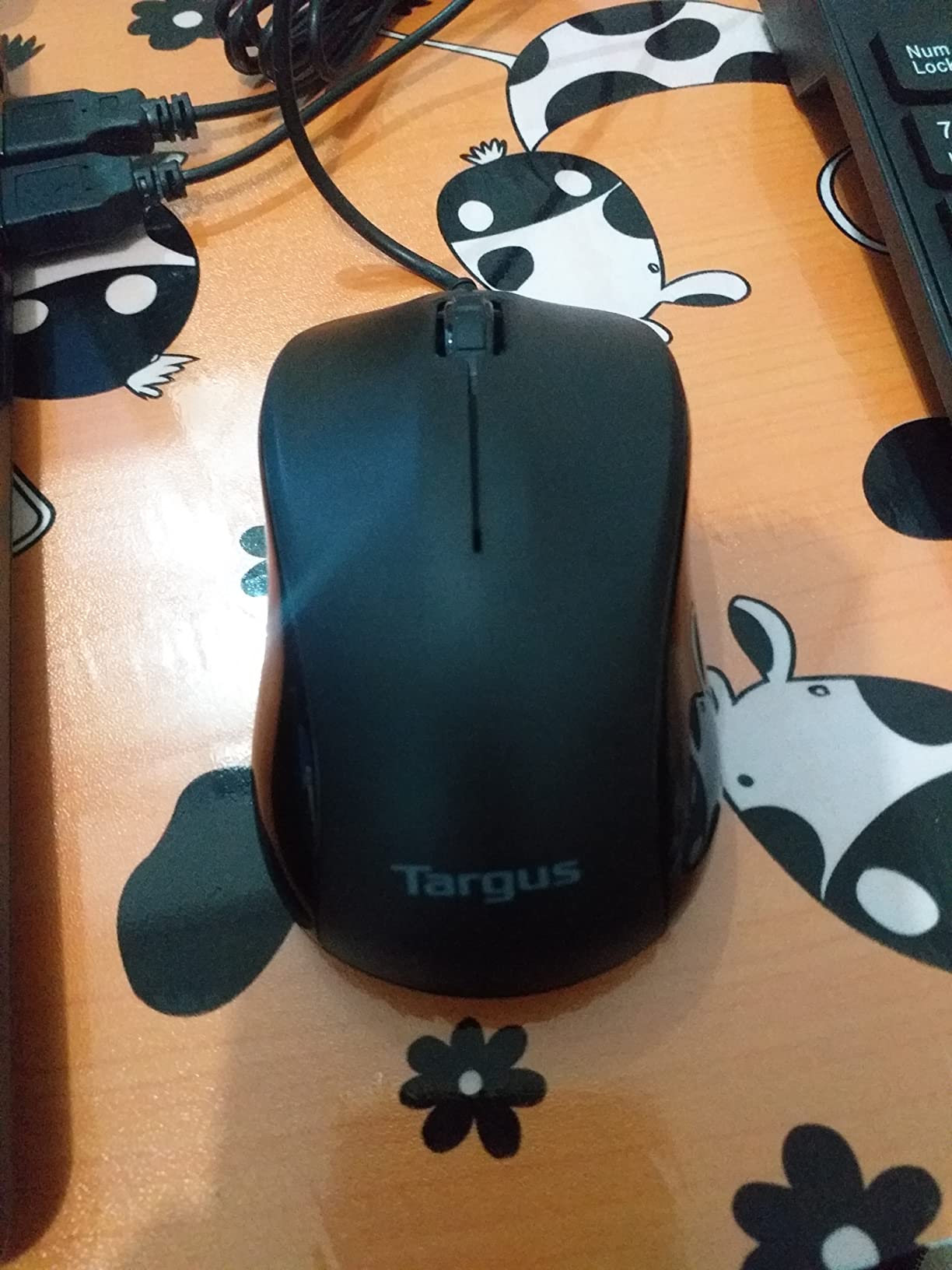 Great basic mouse