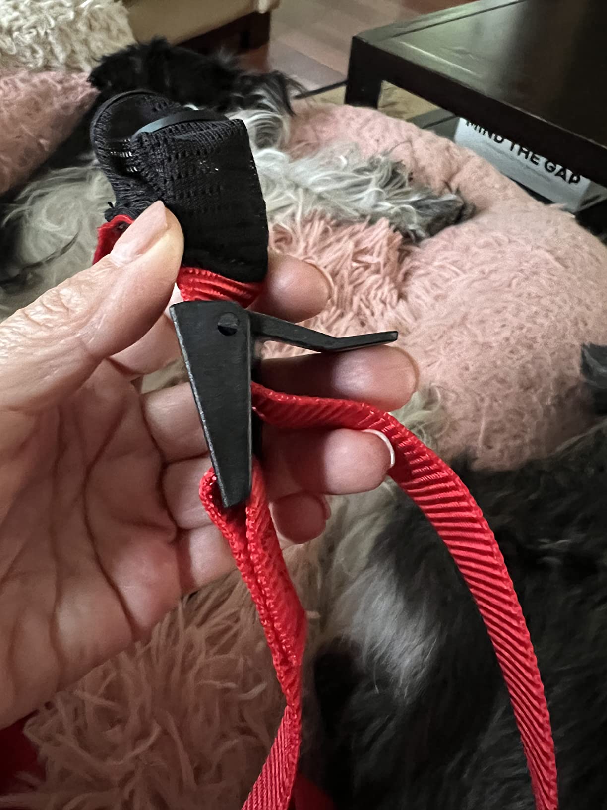 Not for big dogs
